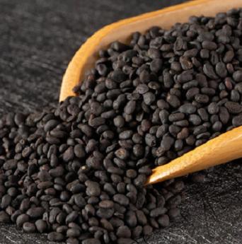 中医分享三味中成药补肾强腰,经常腰疼四味药材