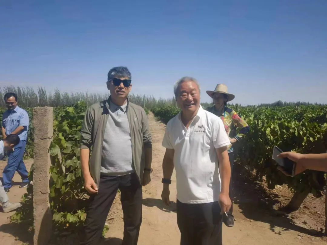 紫轩白酒,紫轩酒厂参观