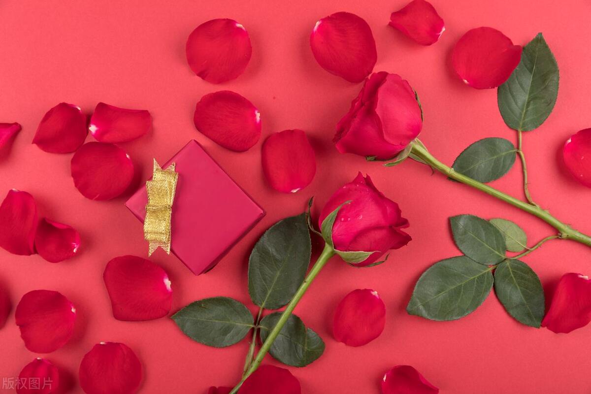 爱情哪有标准答案需要自己寻找,为爱情找一句标准答案