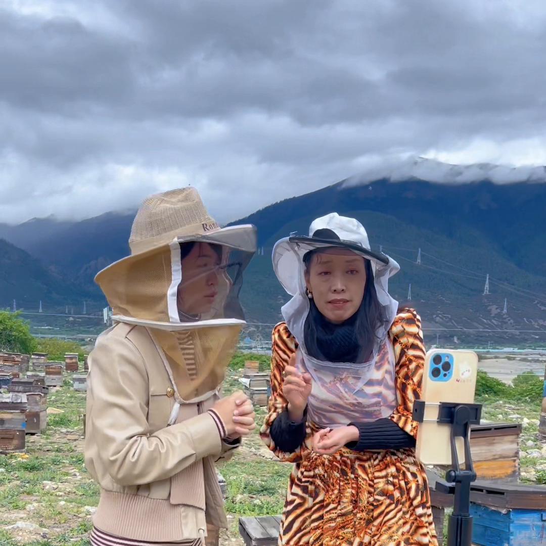 蜂蜜和益母草蜜哪个好喝,益母草蜂蜜的作用与功效图片