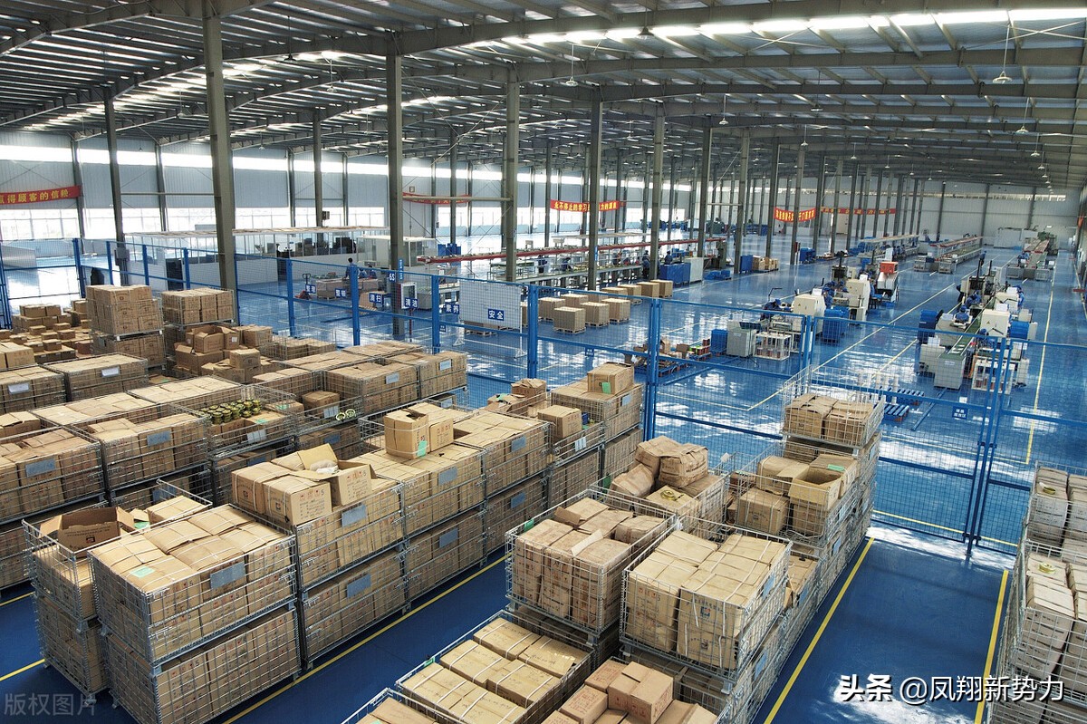 东北大豆今日最新价格多少钱一斤,东北大豆今日价格表