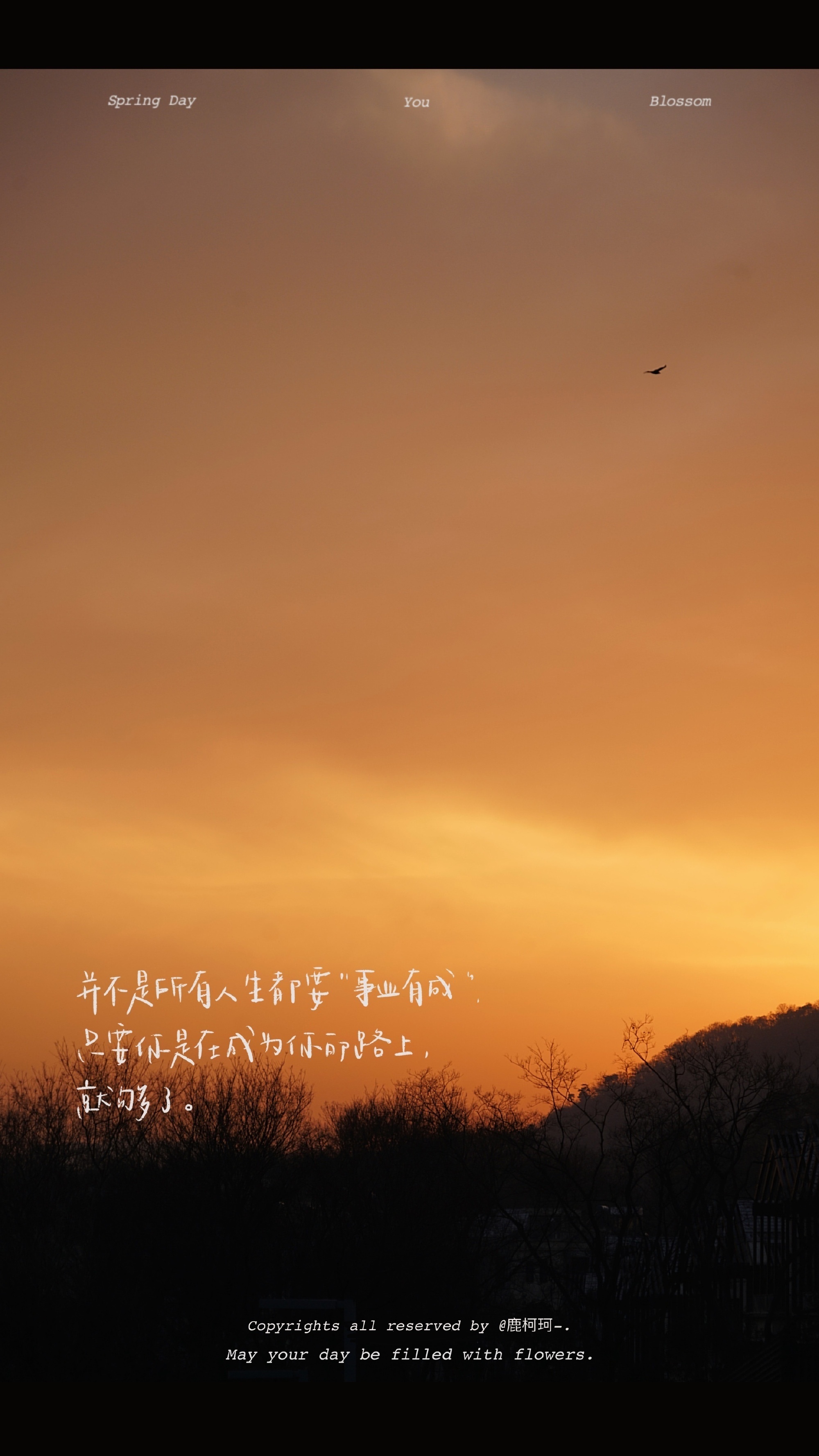 高级抖音文案一句话,抖音文案短句男生专用高级文案