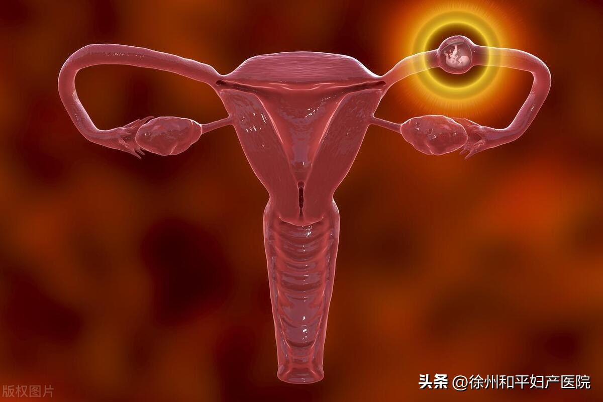 女子深夜吃小龙虾腹痛难忍，医生看完竟把她转到妇科