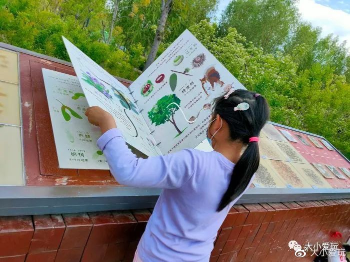 户外滑梯儿童乐园,户外免费滑梯