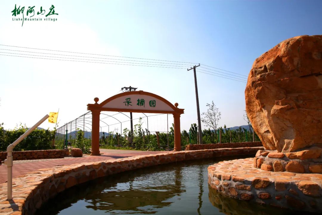 休闲农业与乡村旅游项目分析,休闲农业与乡村旅游什么时候开始