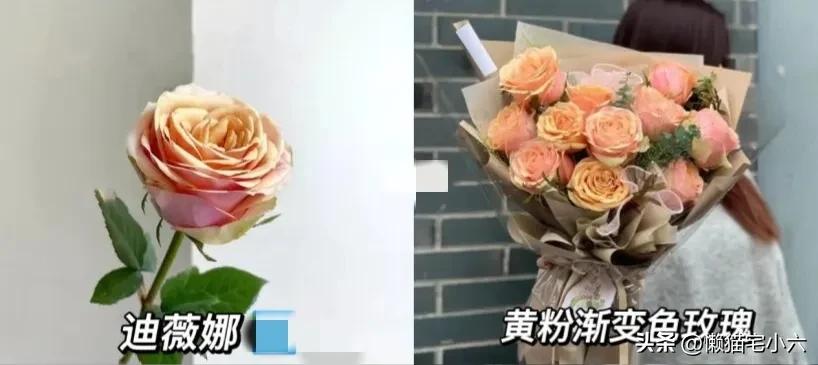 玫瑰花送你最浪漫,姑娘送一个玫瑰花给你