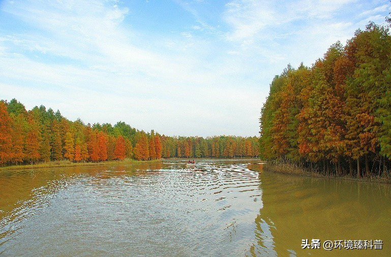 国家森林公园推荐,15个适合周末游的森林公园