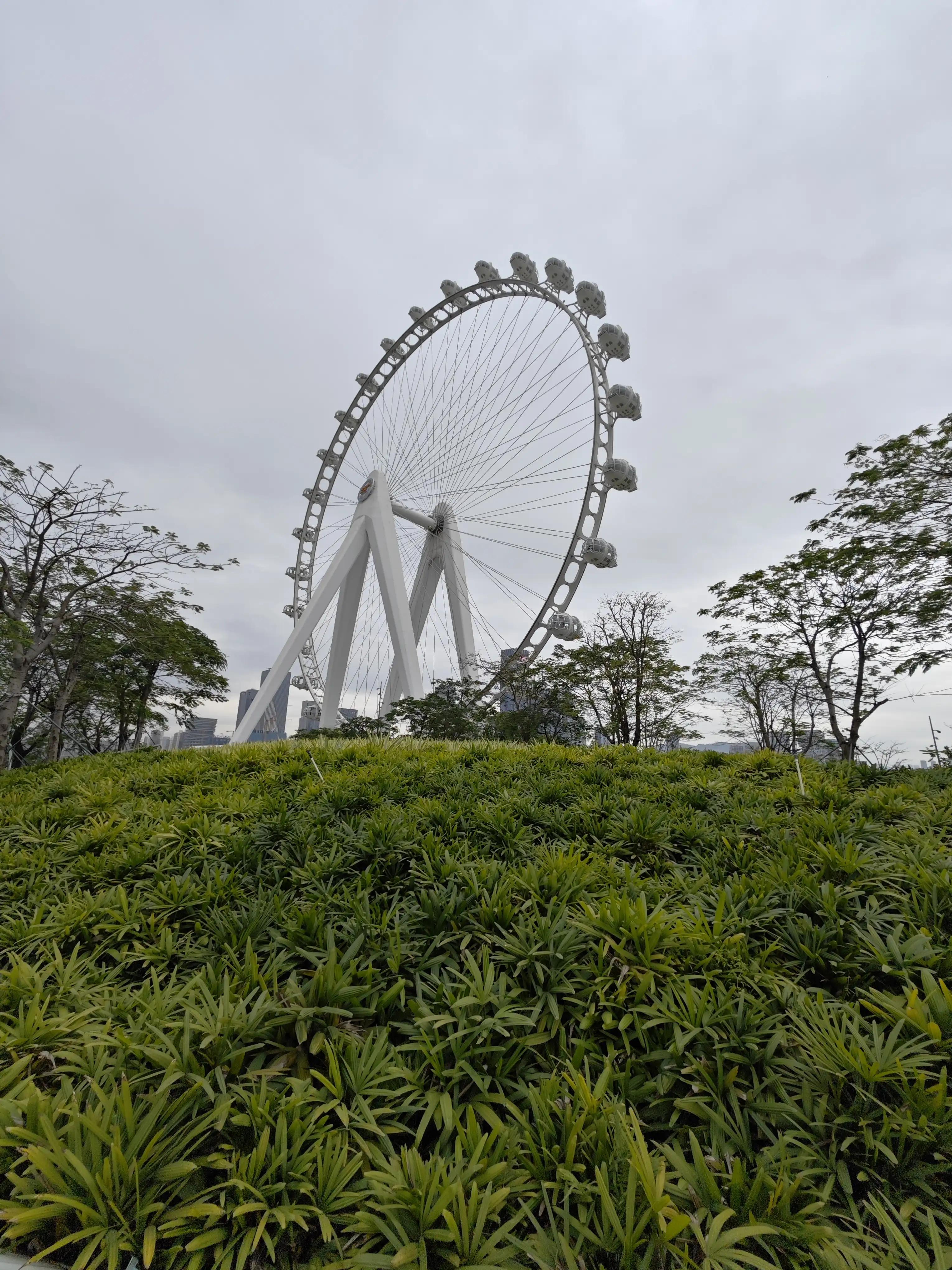 宝安滨海廊桥路线图,宝安滨海廊桥入口