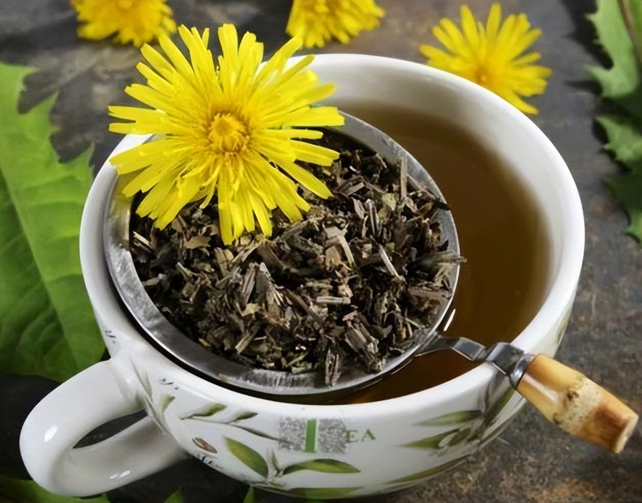 蒲公英和菊花泡水喝有什么好处呢,红枣枸杞蒲公英泡水喝有什么好处