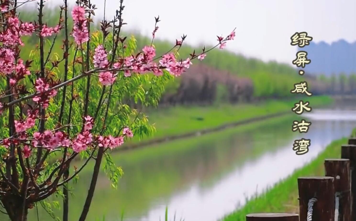 天津咸水沽旅游攻略,天津津南咸水沽美景