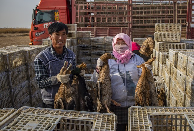 chatai如何做完整方案,chatai有前途么