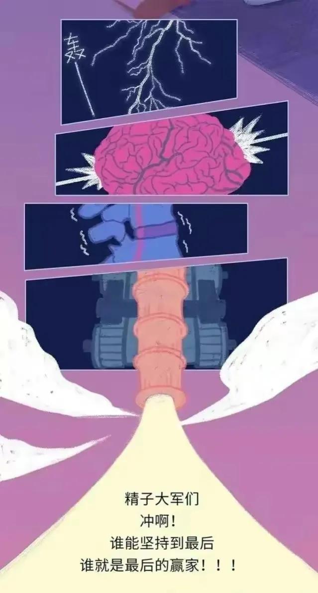 精子进入女性体内后，会发生什么神奇的事？漫画科普
