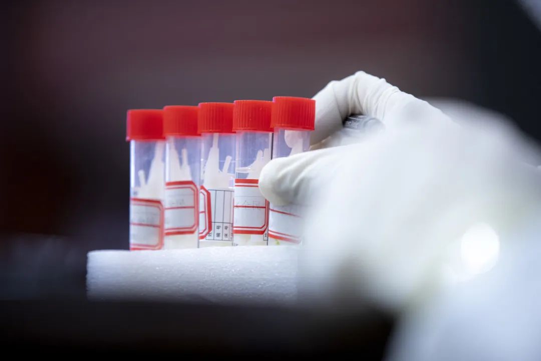 长沙最新核酸检测点,长沙有哪些核酸检测点