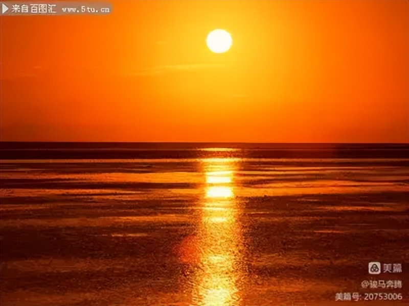 山东老干部诗词学会会刊,老干部诗词大全