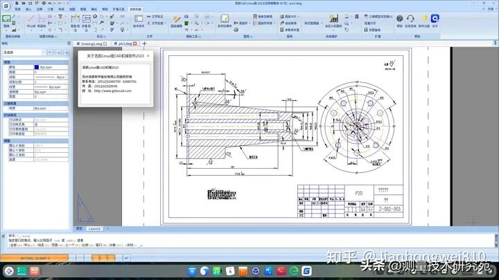 大国的坎这本书讲了什么,《大国的坎》