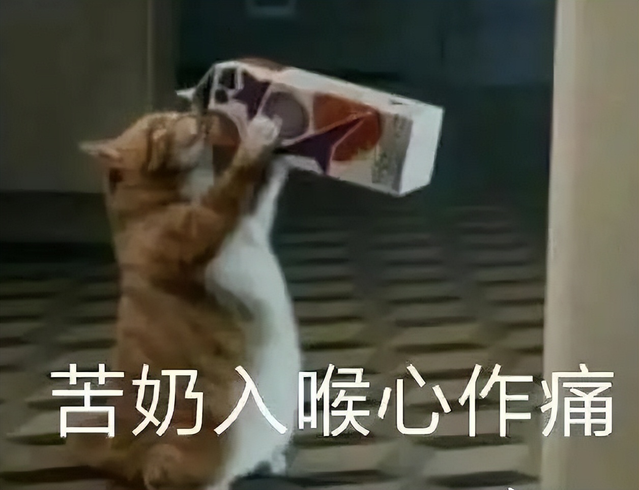 透明版iphone,iphone手机刚发售的时候