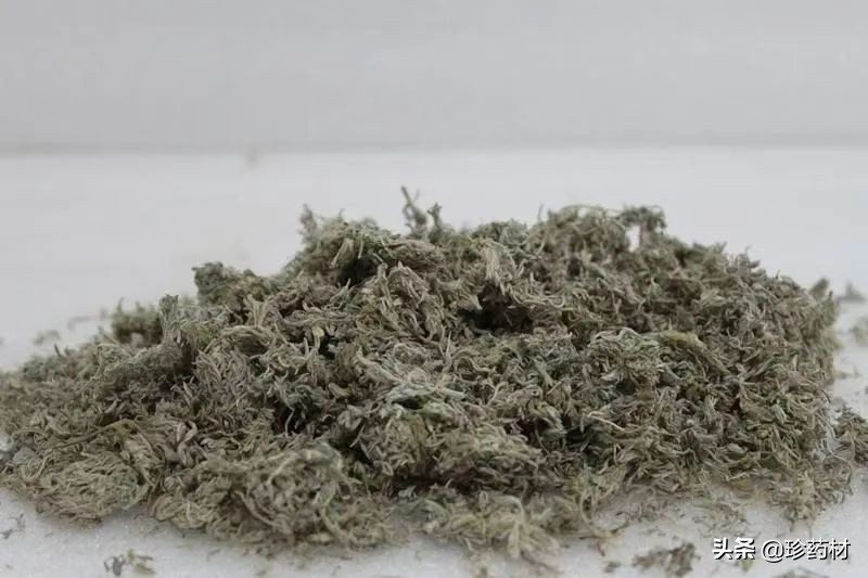 红花、百部、地黄、五味子、龙骨、茵陈、元胡、蒲公英等行情简析