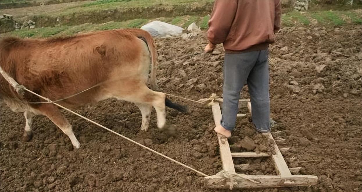 渐渐消失的老物件,见过3个以上的老物件证明你老了