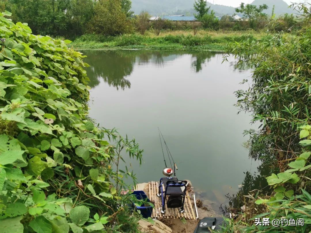 钓鱼小技巧谁将赢得1v1的钓鱼挑战,5种钓鱼方法