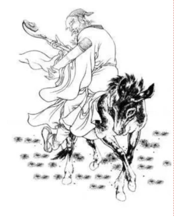 小黑驴崽子的图片,小黑驴儿