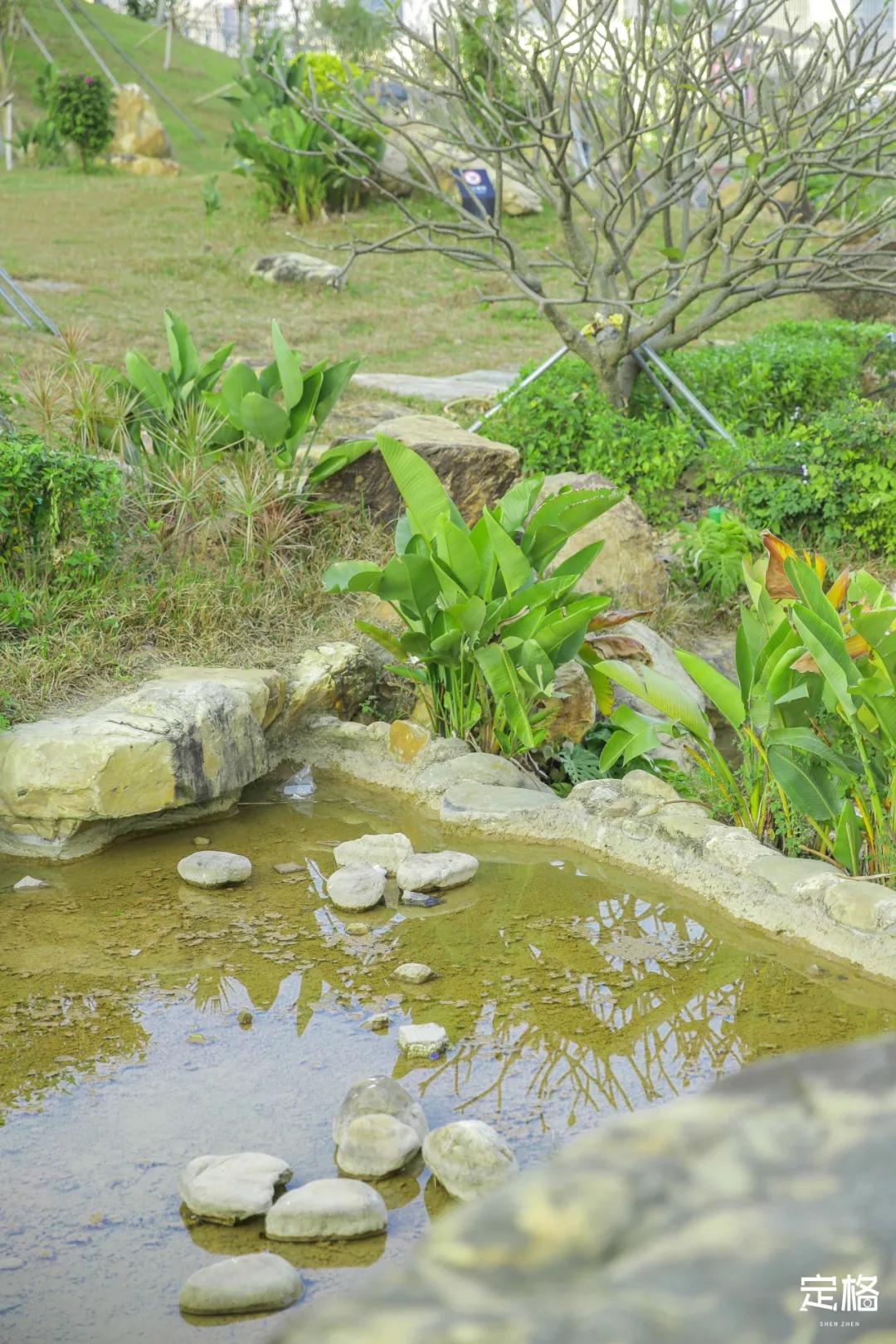 深圳免费好玩的滑梯推荐,深圳摩天滑梯