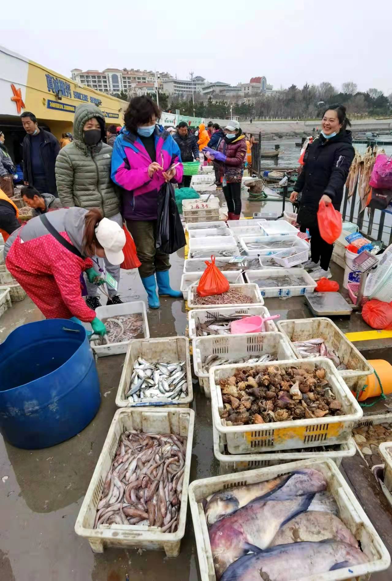 陶俊峰“美拍”威海老家海鲜“供年货”哈——《环翠楼下鱼市忙》