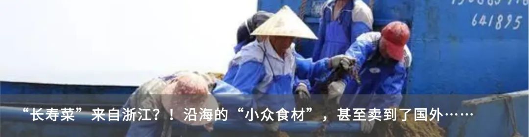 亚运会黄龙体育中心观众视角,亚运奥体中心观赛