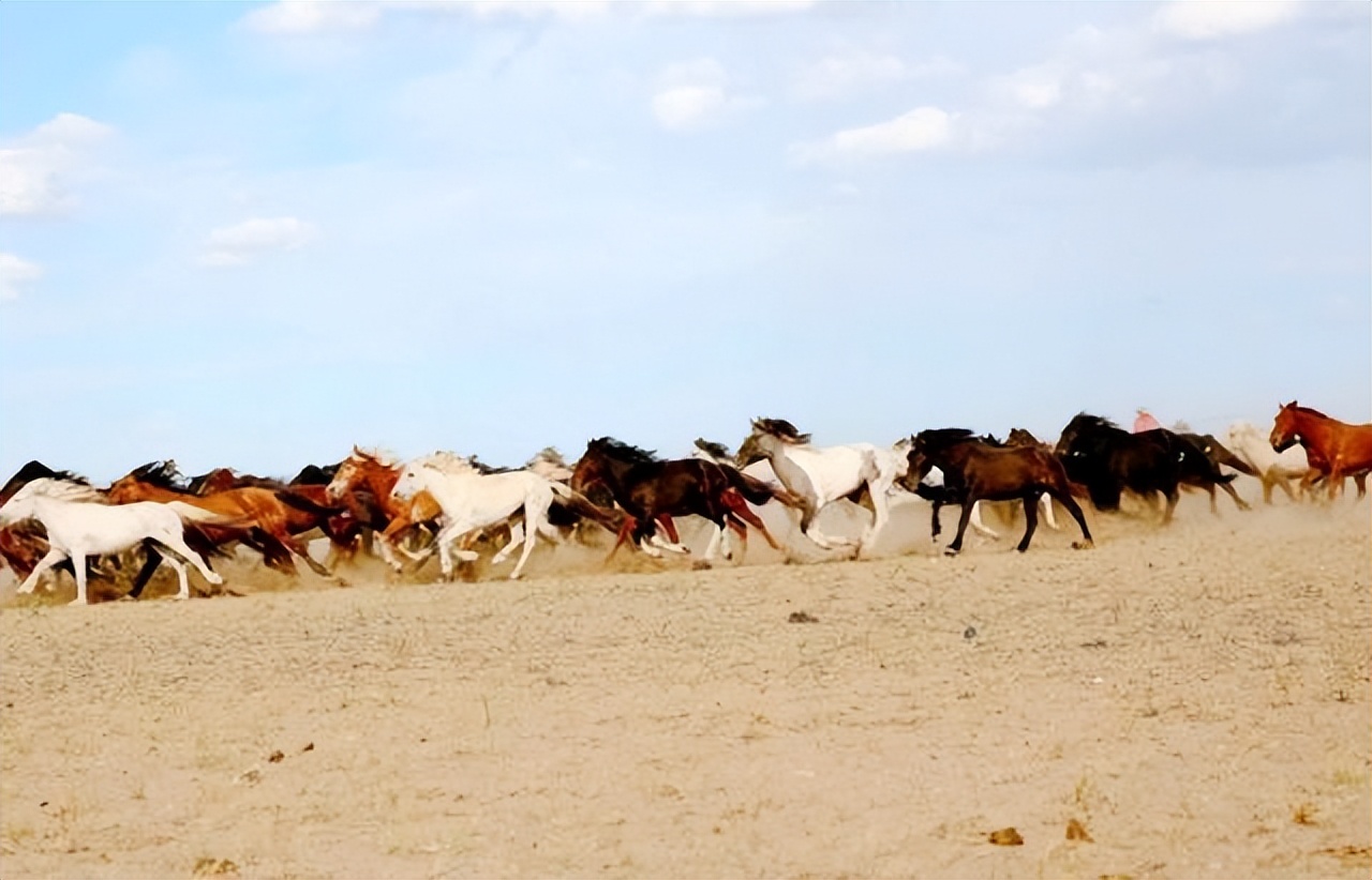唐朝与回鹘的绢马贸易,唐朝的贸易