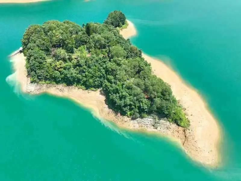 广州从化赏荷花胜地,从化草埔荷花