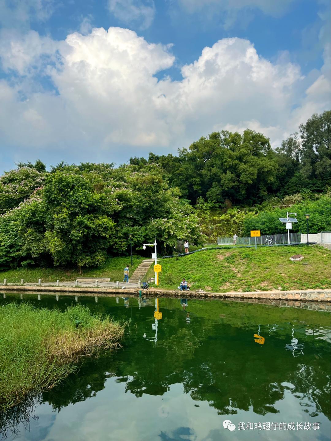 深圳户外露营地推荐,爱美丽免费观看全集