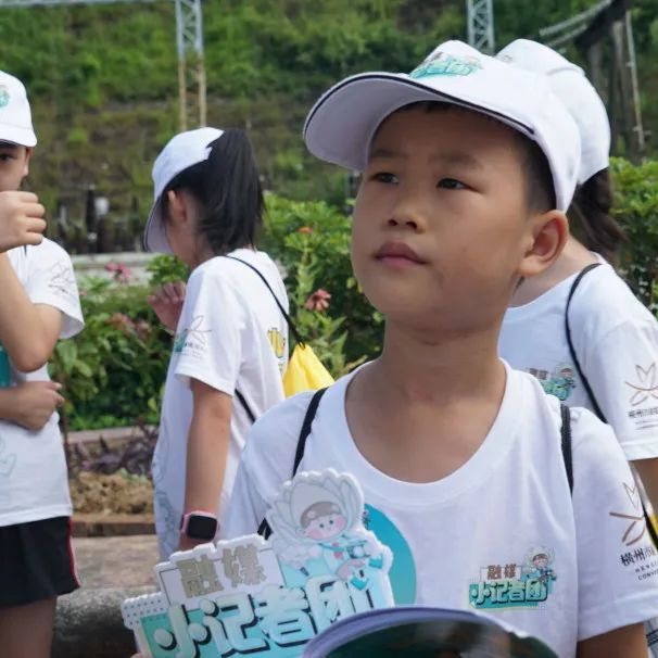 融媒小记者夏令营,融媒小记者栏目