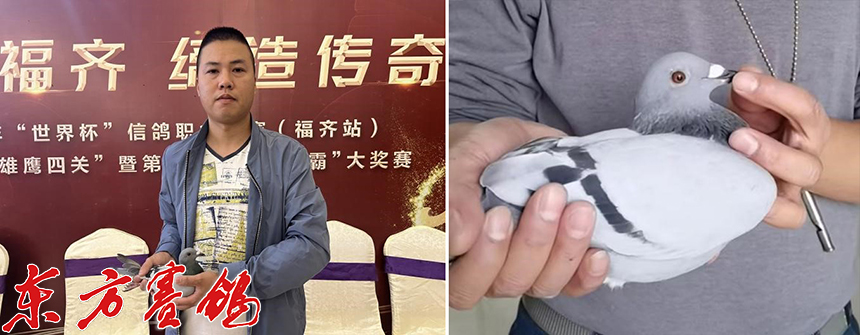 武汉福齐获奖鸽,2019武汉福齐国际集鸽名单