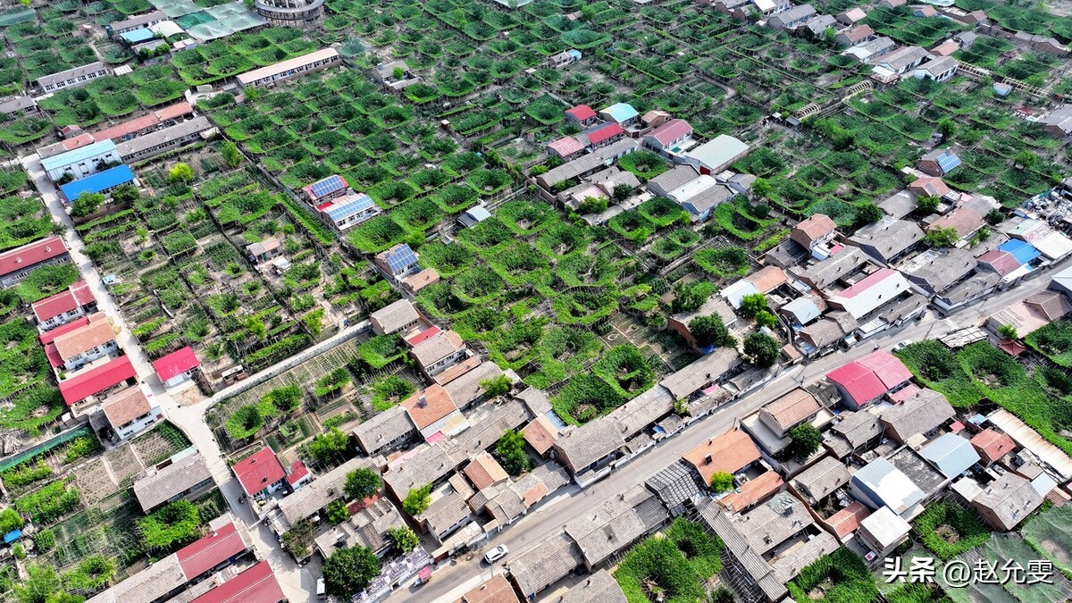 农村将放宽几大政策你知道吗,农村3月1号都有哪些新政策