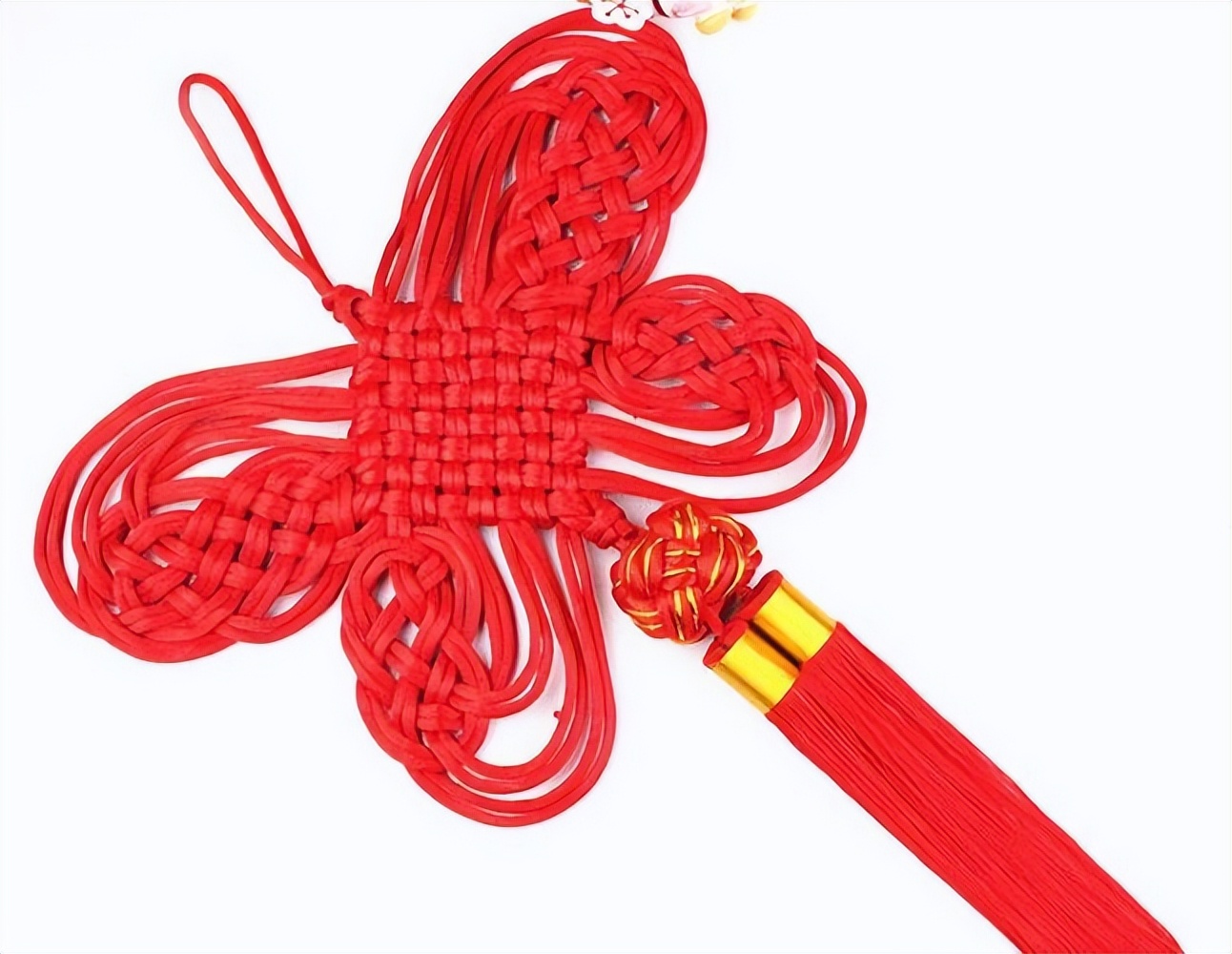 为什么女裤上有一个蝴蝶结,女生的裤子为什么都有一个扣子