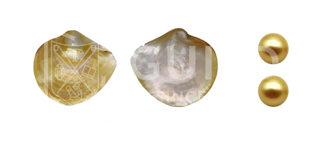 世界杯历史上最昂贵的比赛,最贫穷的世界杯