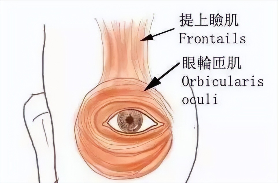 教你3天练出迷人的眼睛,如何让眼睛看起来有神又清澈