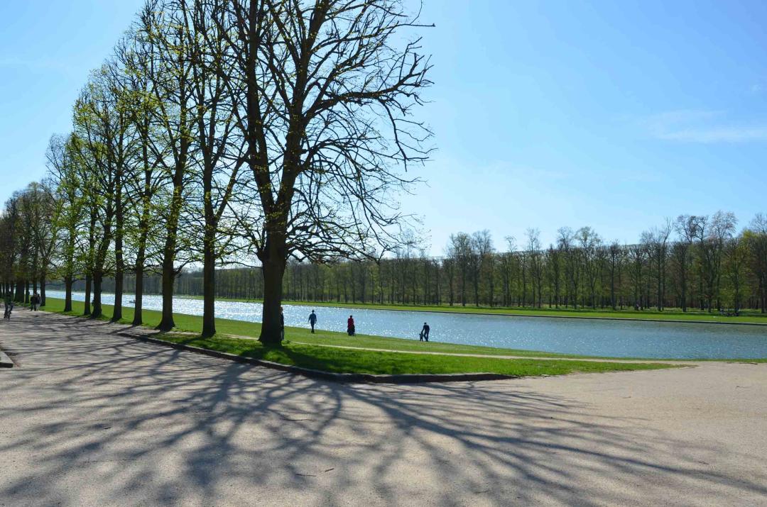 凡尔赛宫的园林,凡尔赛宫花园面积