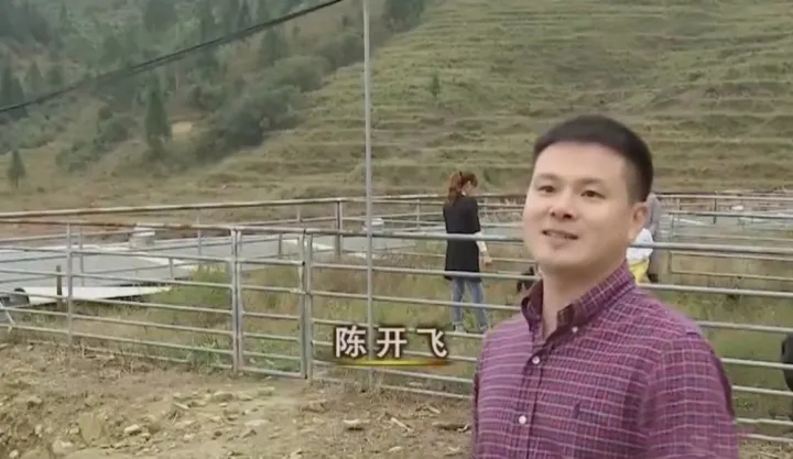 硕士回村做养殖一年净赚10万元,养山羊一年赚40万