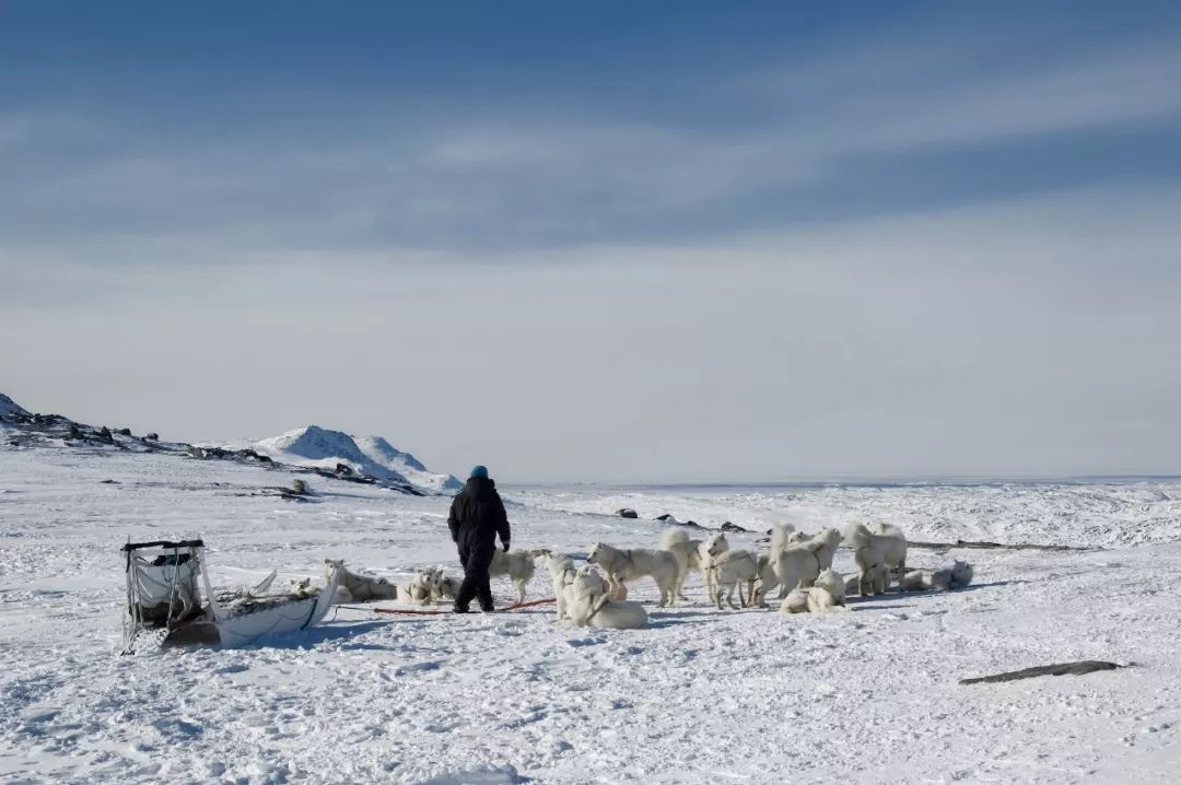 格陵兰岛有如此魅力