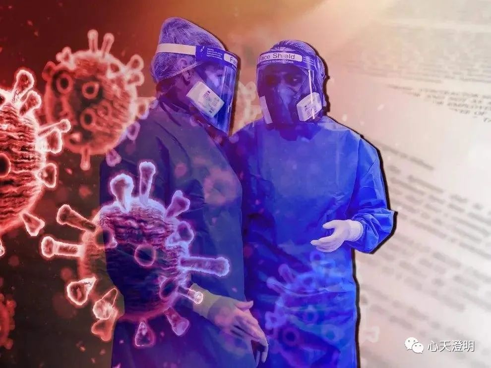 新冠克星卡龙酸酐,卡龙酸酐新冠