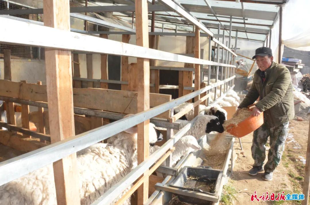 积石山县居集镇甘藏村,积石山石居集镇甘藏村四社