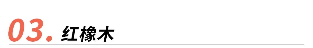 黑胡桃木樱桃木橡木家具哪个好,橡木榆木黑胡桃木