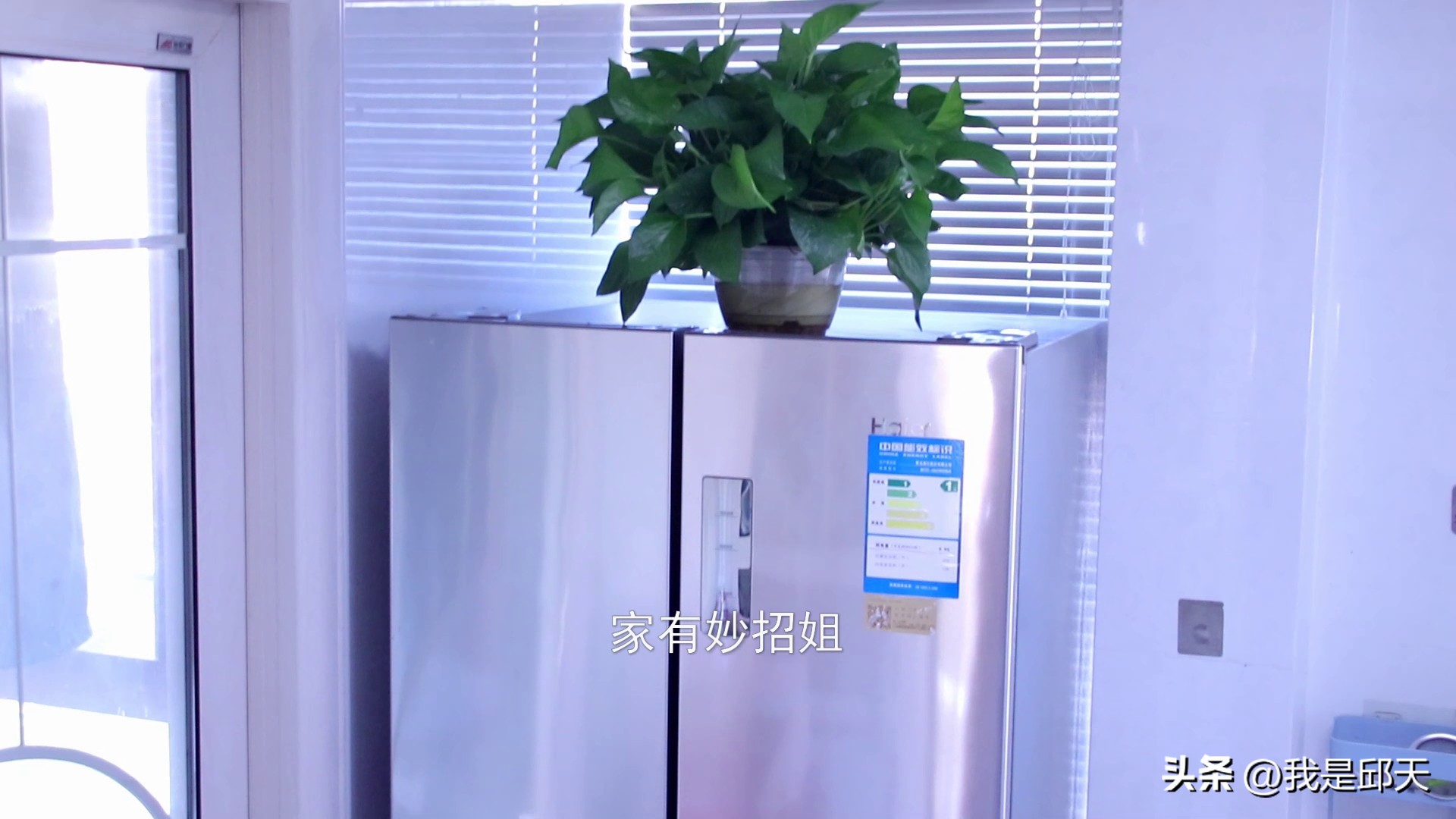 家庭绿萝摆放风水禁忌,家里绿萝摆放讲究哪些风水