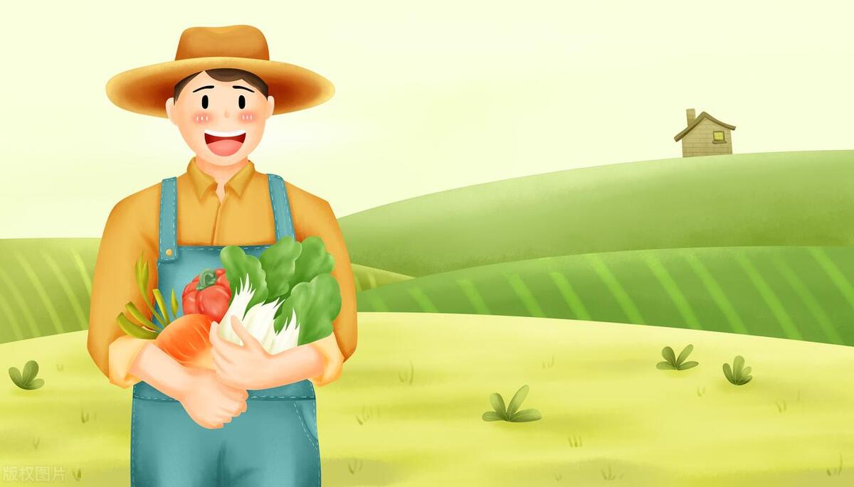 2023农村综合性改革试点试验,农村综合性改革试点条件及要求