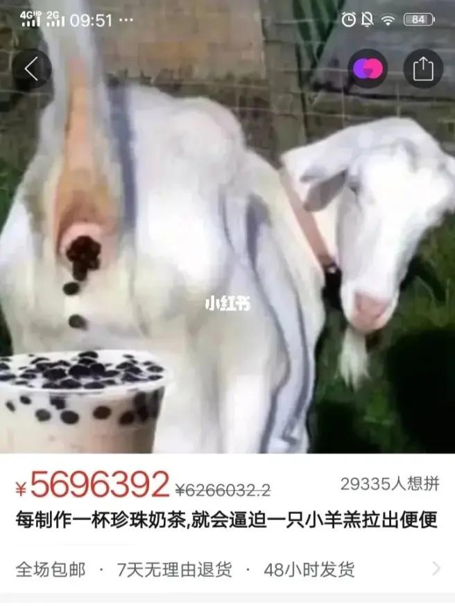 拼多多举报淘宝事件,拼多多盗用淘宝图会被投诉吗