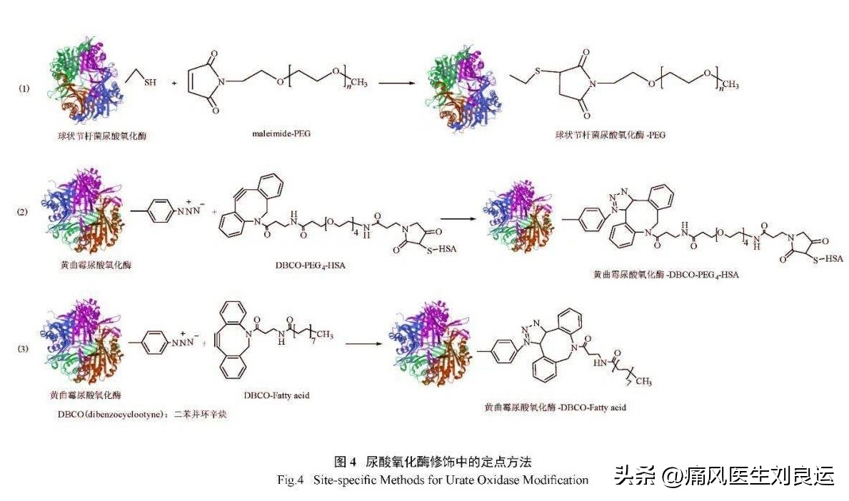 尿酸氧化酶治疗痛风效果好吗,非布司他含有尿酸氧化酶吗