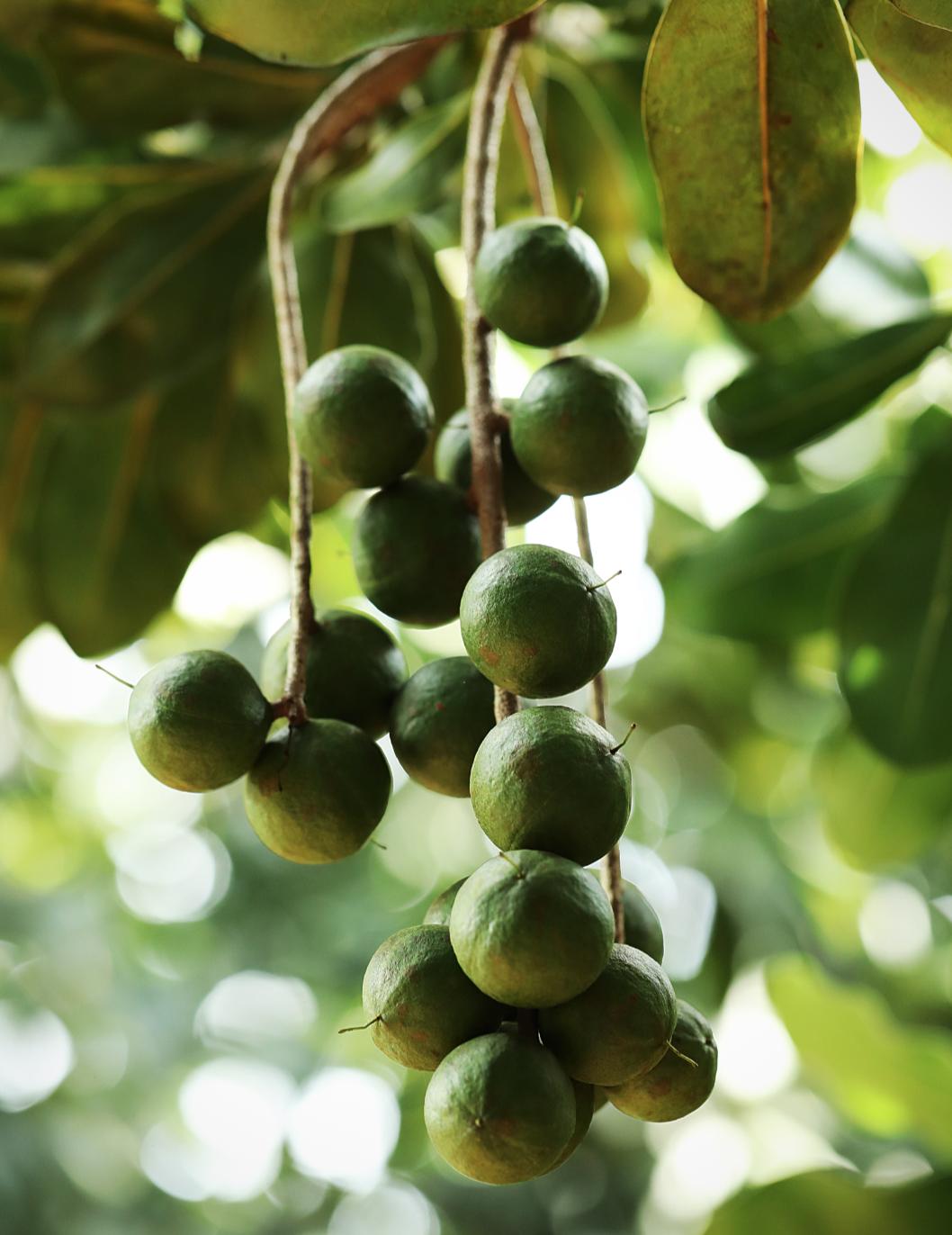 鑹搧閾哄瓙鏄ヨ妭蹇呭骞磋揣,骞磋揣蹇呭闆堕娓呭崟绾夸笅