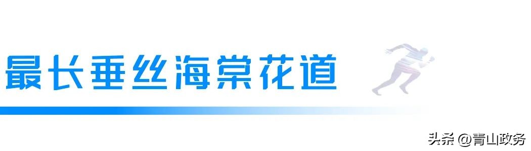 2023青山绿水红钢城半程马拉松,青山马拉松开幕式
