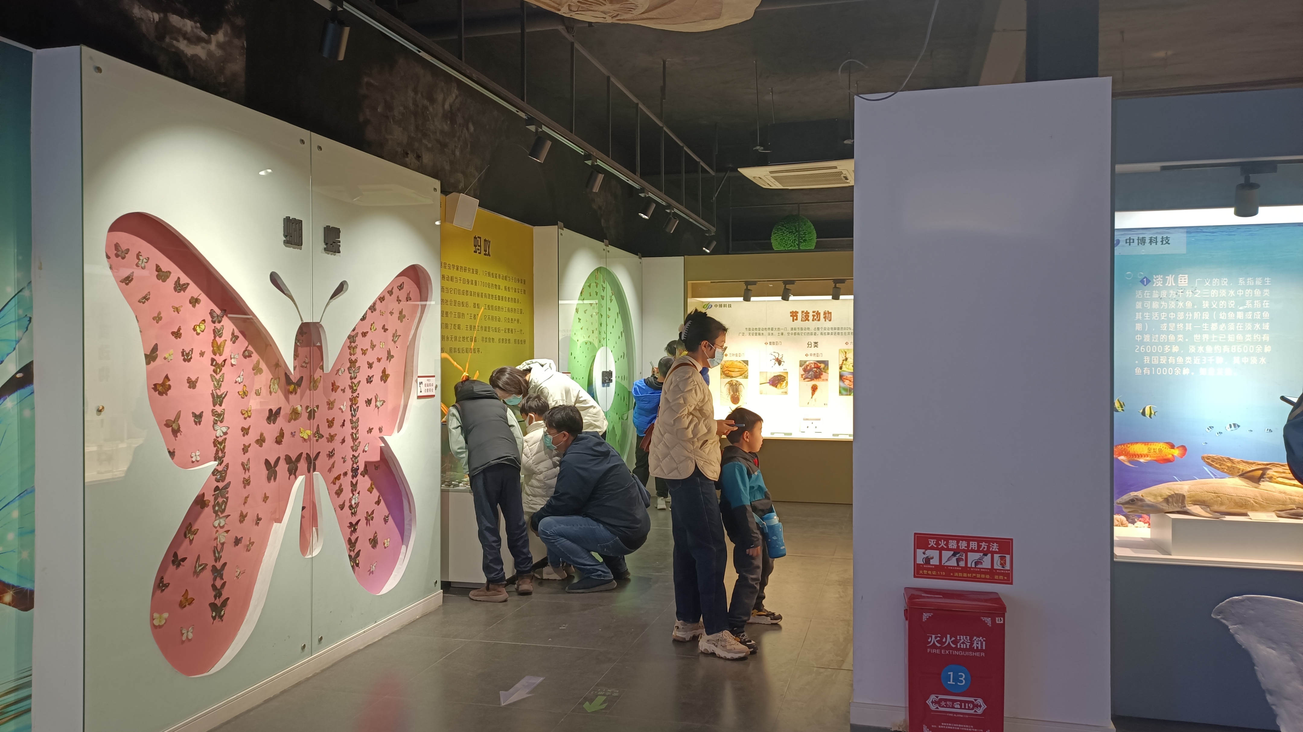 郑州春天去哪里旅游,郑州周边适合春天去的地方