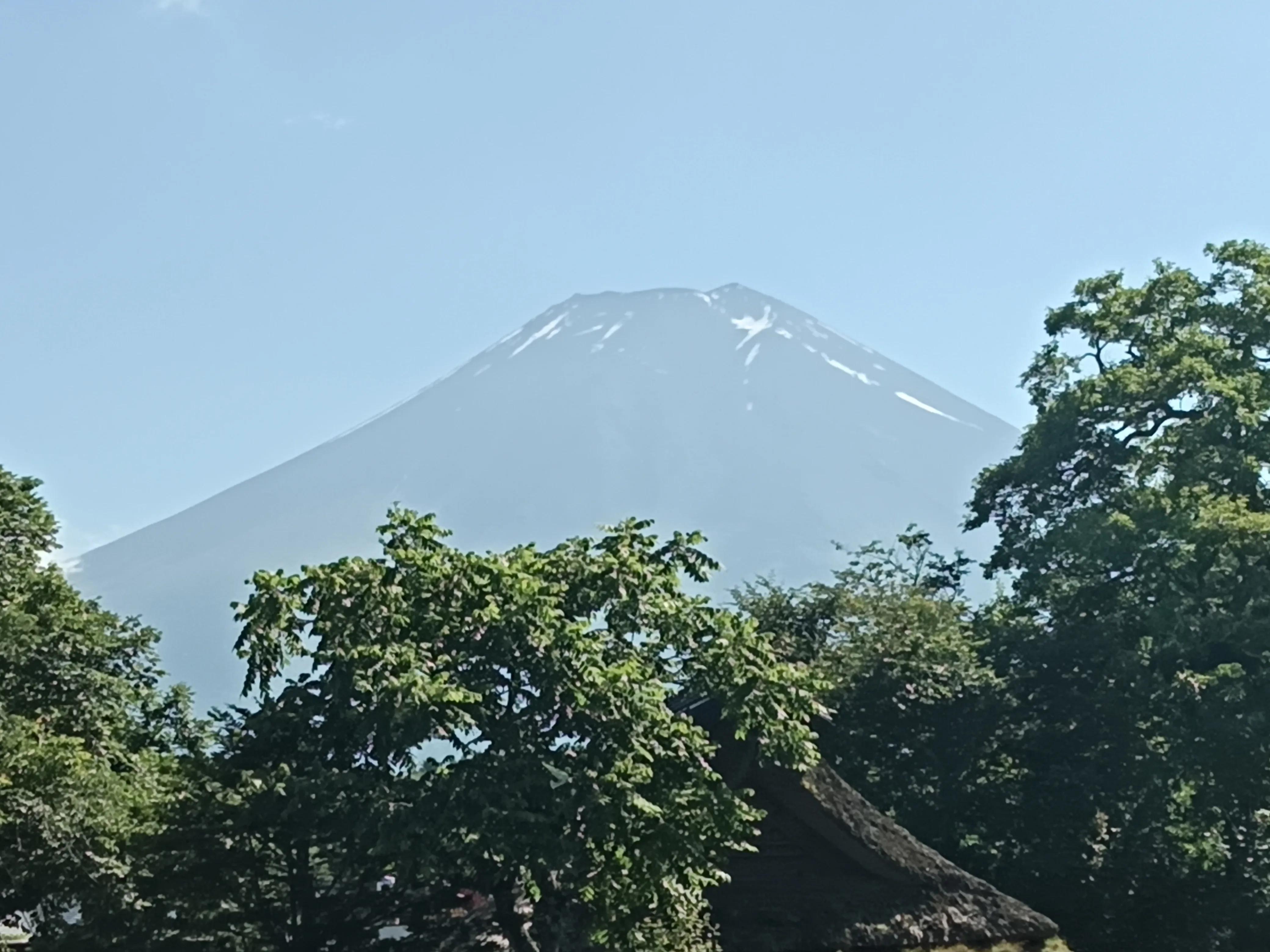 肖战日本之行完整版,日本之旅有几站